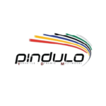 Pindulo — Sales Institute enterprise training client